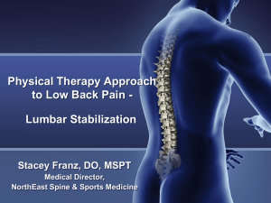 Physical Therapy Approach to Low Back Pain