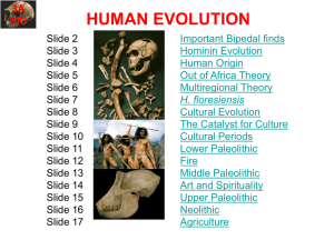 Human evolution 2