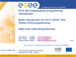 EGEE-III-SA2-TEC-976004-IPv6-Programming-20081106