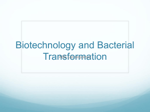 Biotechnology and Bacterial Transformation