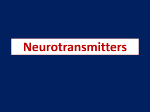 Neurotransmitters (2).
