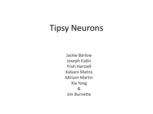 Tipsy Neurons 1 (PowerPoint) West Coast 2015