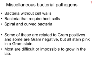 Miscellaneous bacterial pathogens