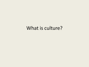 What is culture