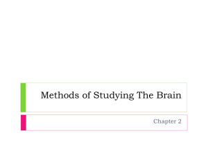 studying_the_brain_and_brain_structure