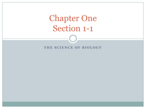 Chapter One Section 1-1