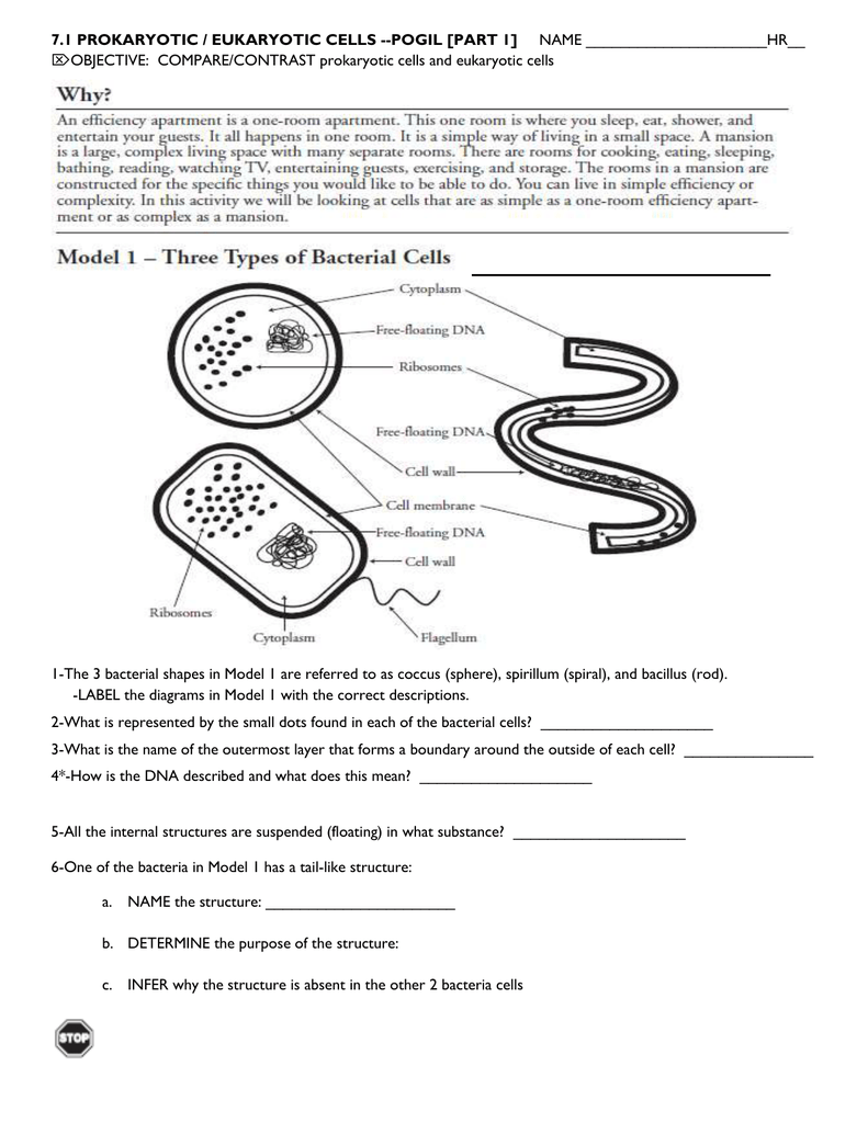 Parts Of Prokaryotic And Eukaryotic Cells Worksheet Answer Key