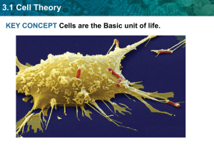 3.1 Cell Theory - Perry Local Schools