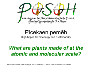 What are plants made of at the atomic and molecular scale?