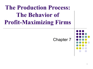 The Production Process: The Behavior of Profit