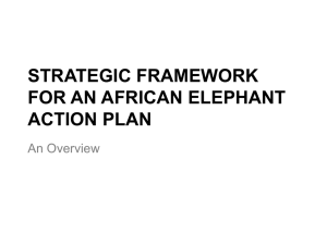A Strategic Framework for an African Elephant Action Plan