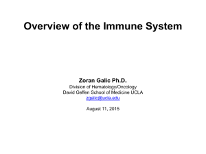 Overview of the Human Immune System