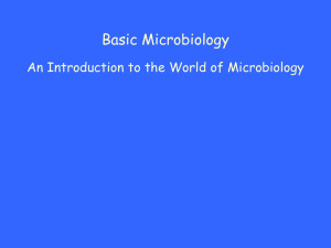 Microbiology 155 Chapter 1