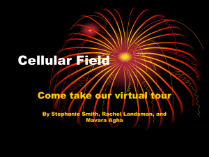 Cellular Field