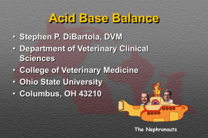 Acid Base Balance - The Ohio State University College of Veterinary