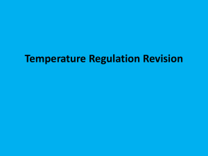 lesson 12 Temperature regulation