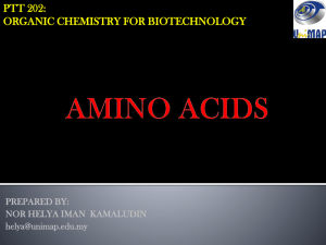 Lecture: Amino Acids
