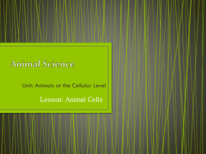 Animal Cells - Agriculture with Mrs. Skien