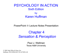 Huffman PowerPoint Slides
