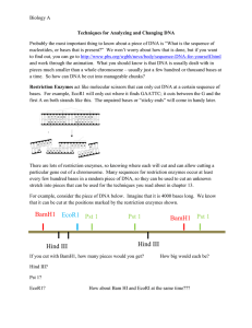 Biology A Techniques for Analyzing and Changing DNA Probably