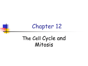 Chapter 1 Notes - Biology Junction