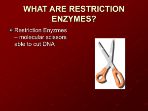 RESTRICTION ENZYMES