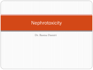Nephrotoxicity File