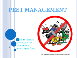 PEST MANAGEMENT