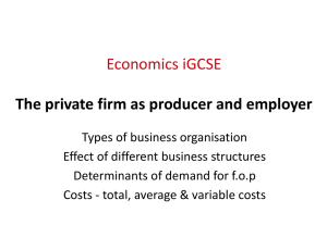 Private Firm as Producer & Employer