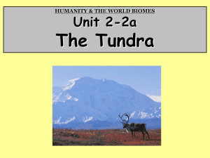 HUMANITY & THE WORLD BIOMES Unit 2-2a The Tundra