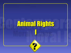 Animal Rights I