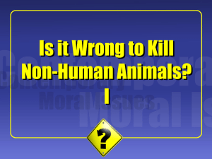 Killing Non-Human Animals I: Peter Singer