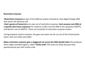 Restriction enzymes lecture