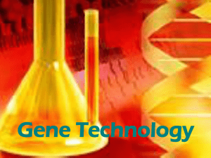 Gene Technology PPT