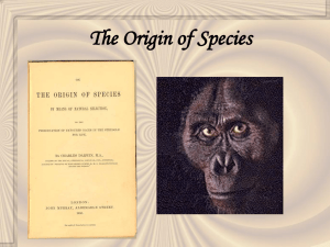 Lecture: Origin of Species
