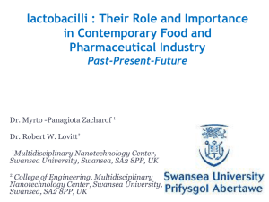 The importance of Lactobacilli in contemporary food and