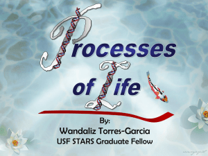 SC. F. 2. - Stars - Students, Teachers and Resources in Sciences