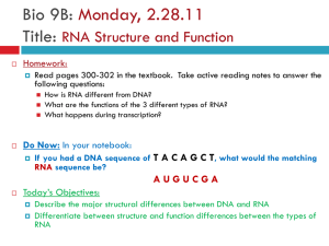 RNA Structure - PHA Science