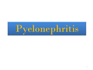 L3- Acute pyelonephritis