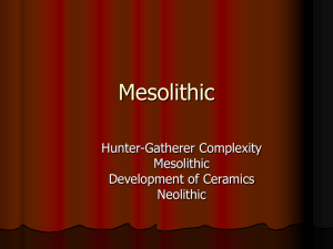 Mesolithic Cultures