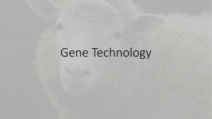 Gene Technology - espinosascience