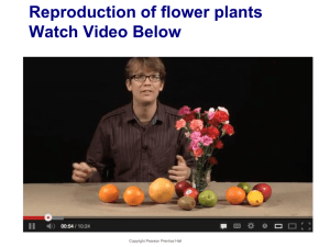 9.3 Flowers, pollination, fertilization