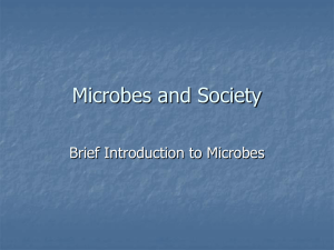 Microbes and Society