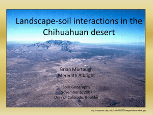 Desertification and Soil