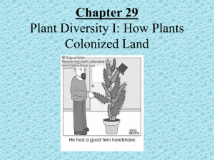 PowerPoint Presentation - Chapter 29 Plant Diversity I: How Plants