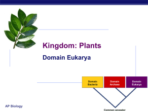 Intro to plants moodle - Soja-Science-Wiki