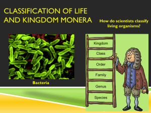 Bacteria - TeacherWeb