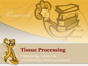 Problems in Tissue Processing