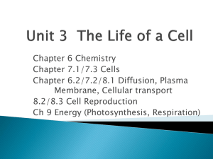 Unit 3 The Life of a Cell