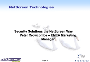 PPT_3_NetScreen_strategy_and_vision